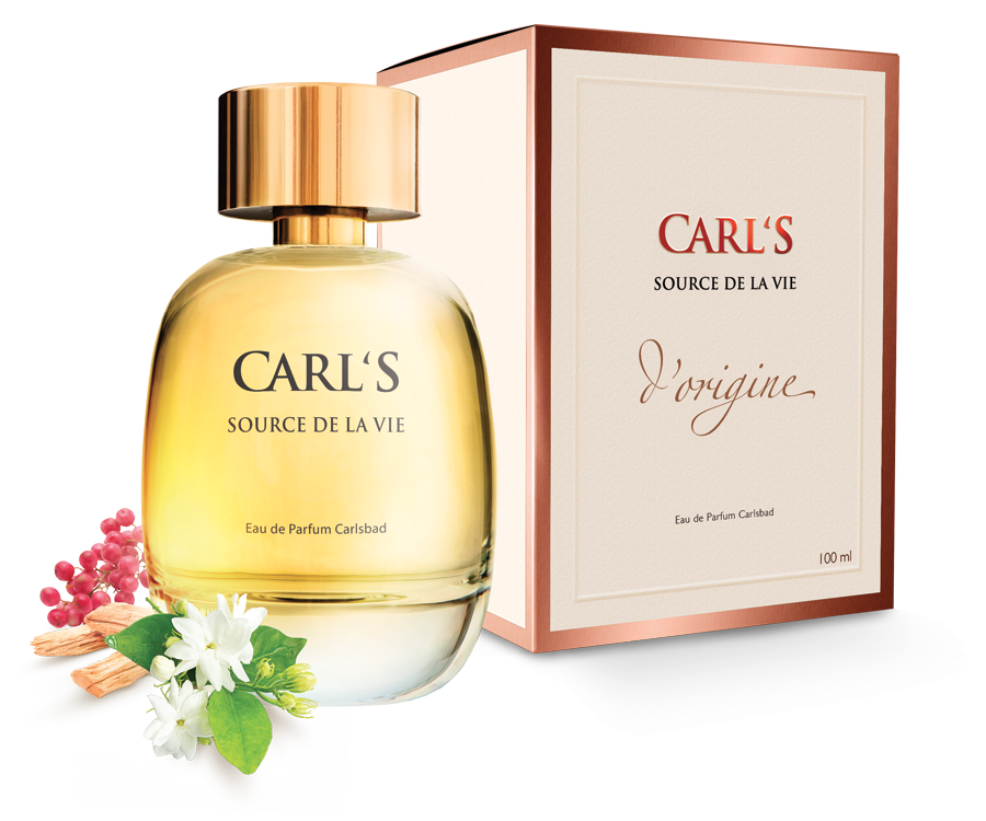 THERMAE CARL`S SOURCE DE LA VIE
